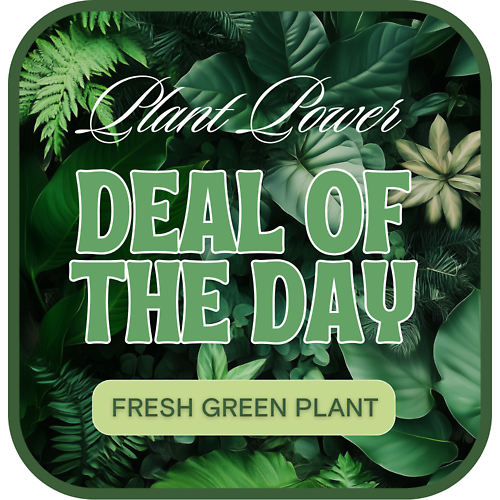 Green Plant Deal of the Day