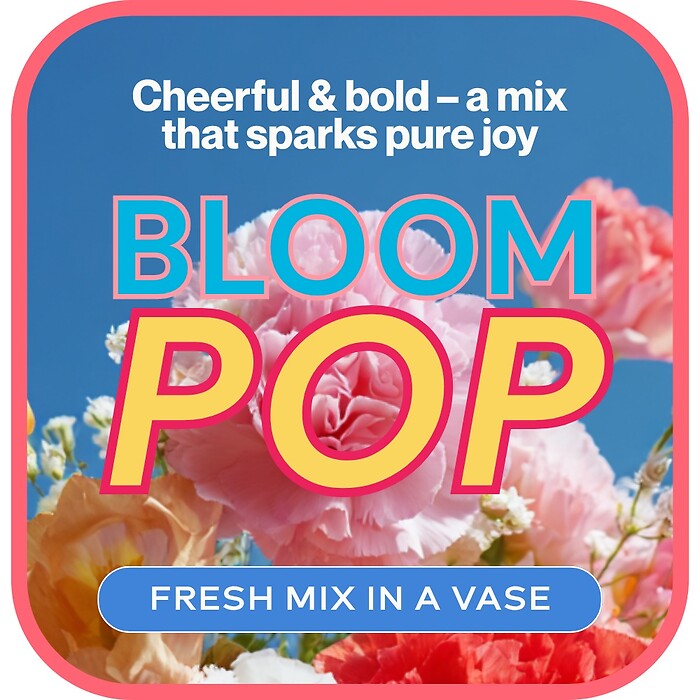 Cheerful &amp; Bold - Designer&#039;s Choice